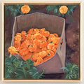 Marigold Bounty